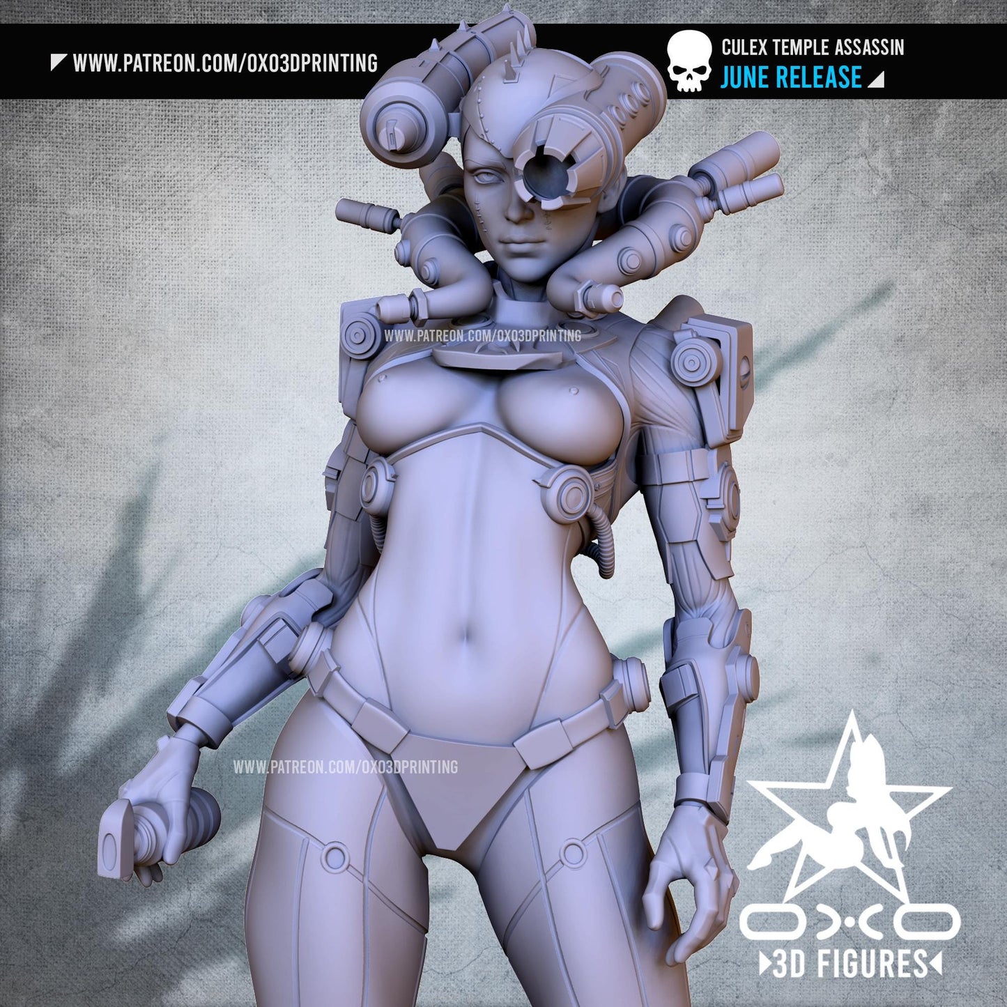 Temple Priest 3D Printed Sci-Fi Grim Dark Collectible Statue: Dystopian Figure with NSFW Option