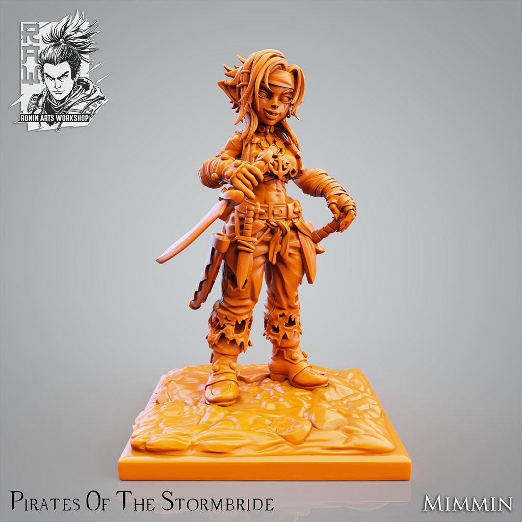 Pirates of the Stormbrade! Warband: Embark on a High-Seas Adventure with 3D-Printed Collectible Miniatures 3d print, dnd, rpg, role playing