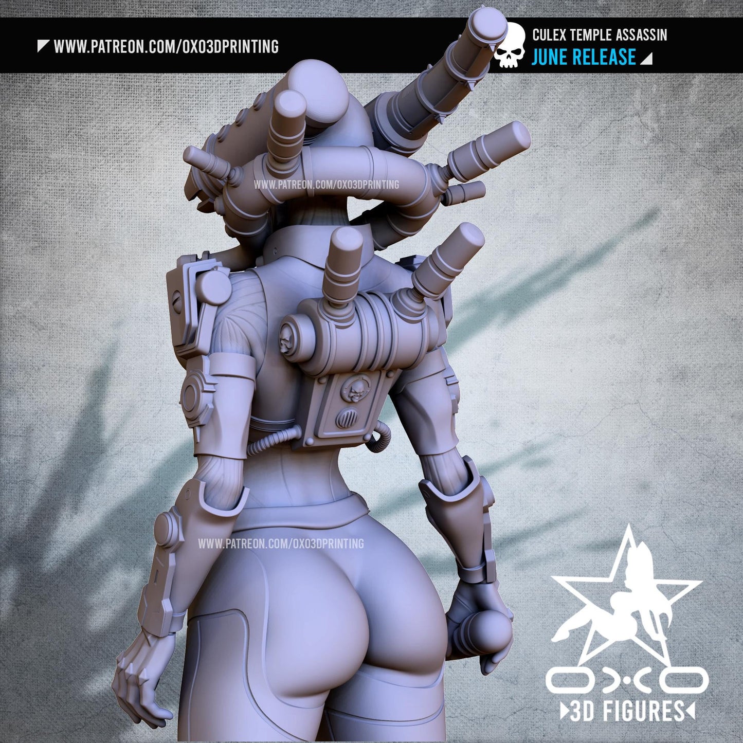 Temple Priest 3D Printed Sci-Fi Grim Dark Collectible Statue: Dystopian Figure with NSFW Option