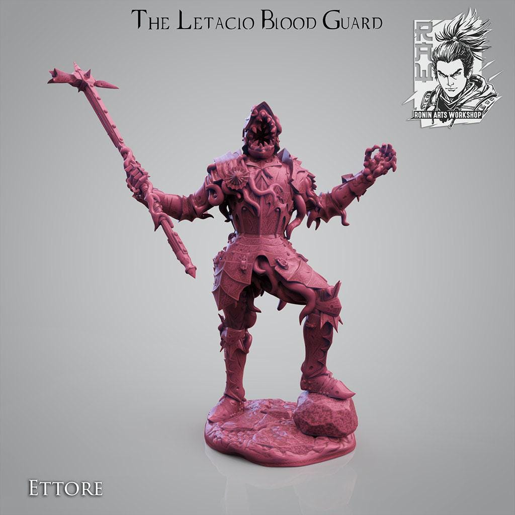 The Letacio Blood Guard Warband: Unleash a Battalion of 3D-Printed Collectible Miniatures for Epic Adventures