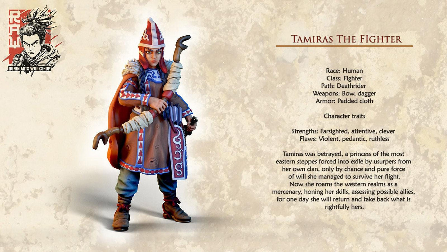 Tamiras the Fighter 3d printed Collectible Miniature, 35 mm, Tabletop miniatures, Pathfinder, dungeons and dragons, dnd
