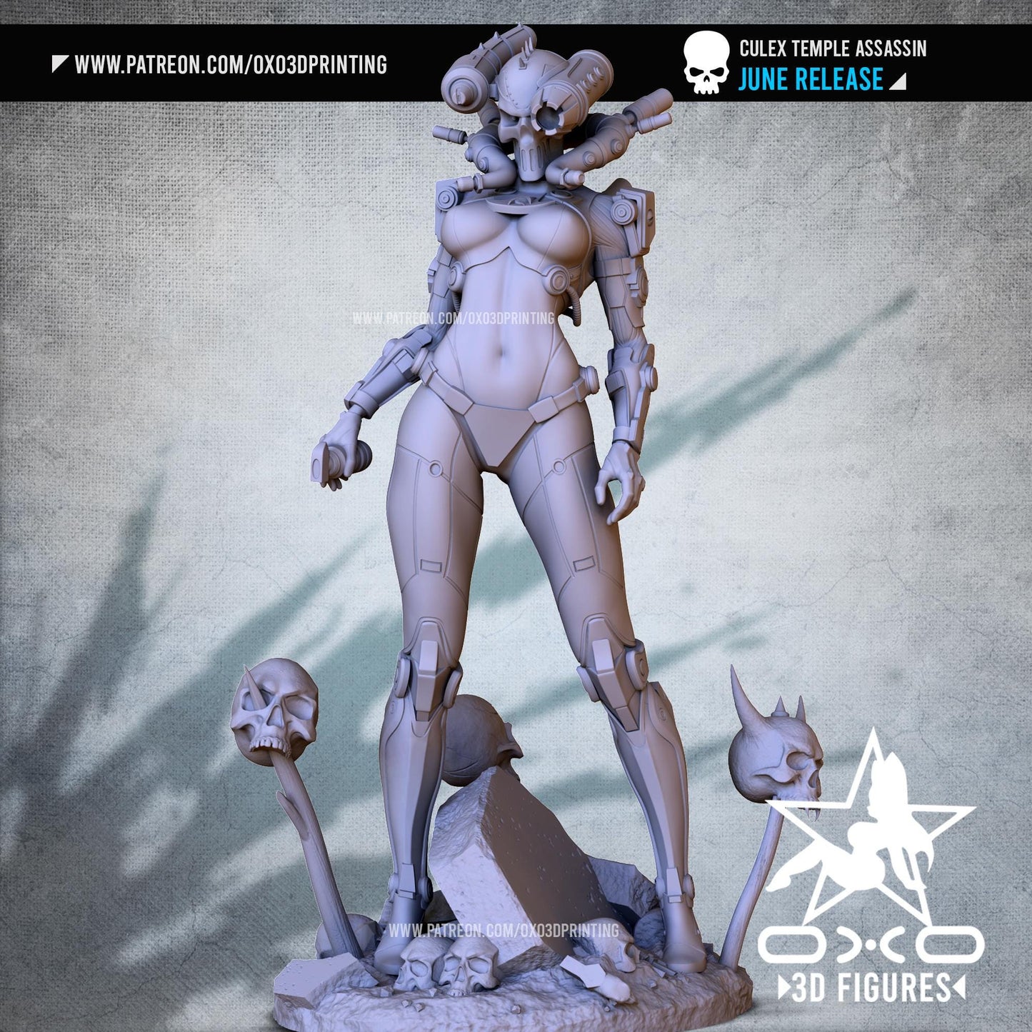 Temple Priest 3D Printed Sci-Fi Grim Dark Collectible Statue: Dystopian Figure with NSFW Option