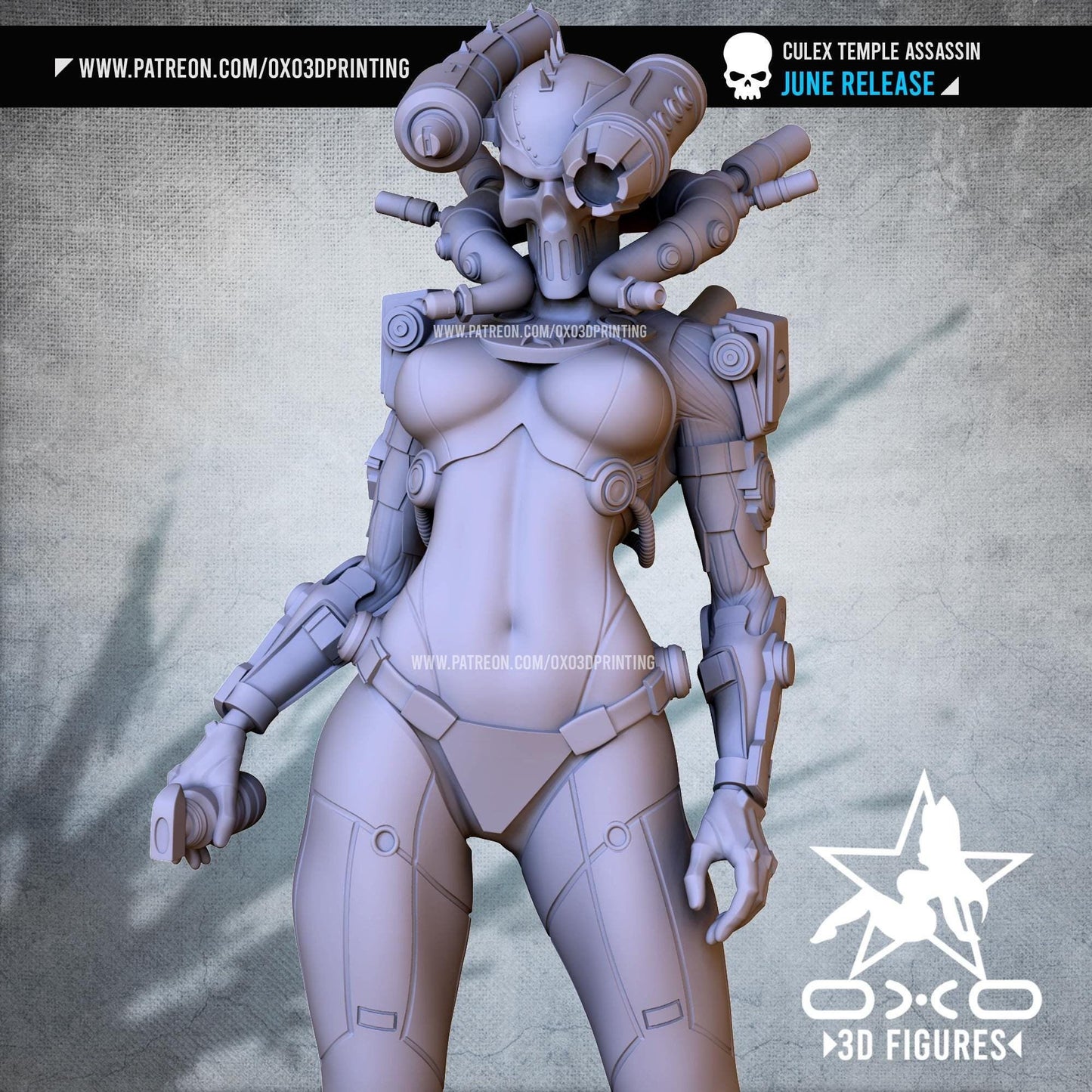 Temple Priest 3D Printed Sci-Fi Grim Dark Collectible Statue: Dystopian Figure with NSFW Option