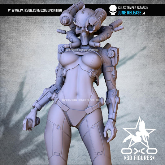 Temple Priest 3D Printed Sci-Fi Grim Dark Collectible Statue: Dystopian Figure with NSFW Option
