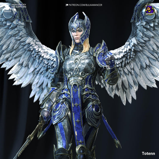 a woman dressed in armor with wings and a sword